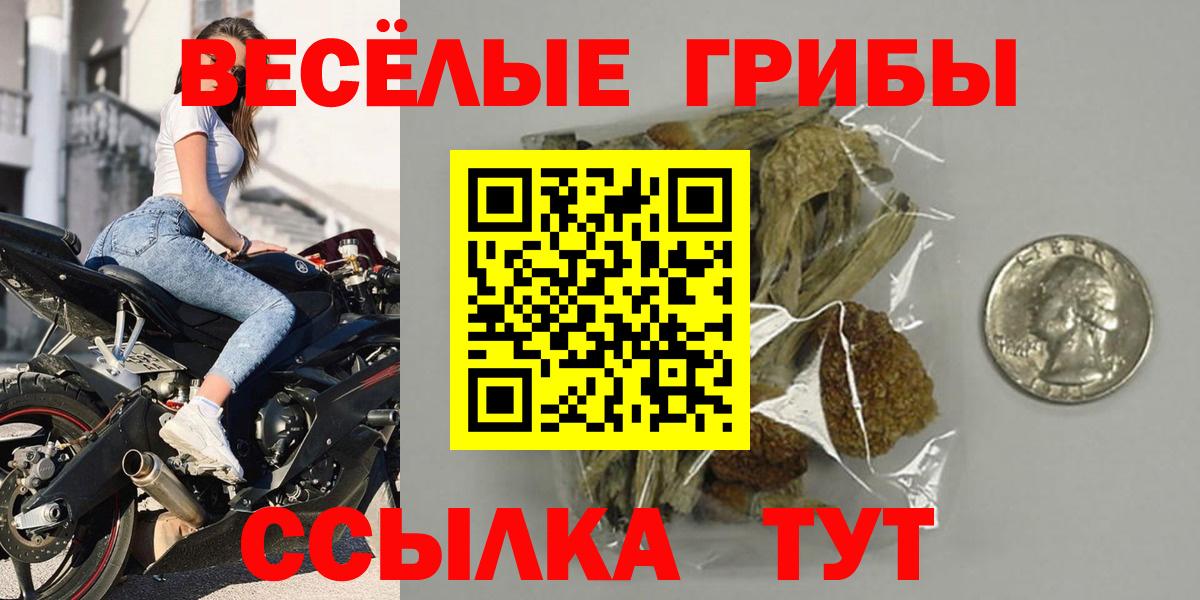 Галлюциногенные грибы прущие грибы  Вход с VPN  Иваново 