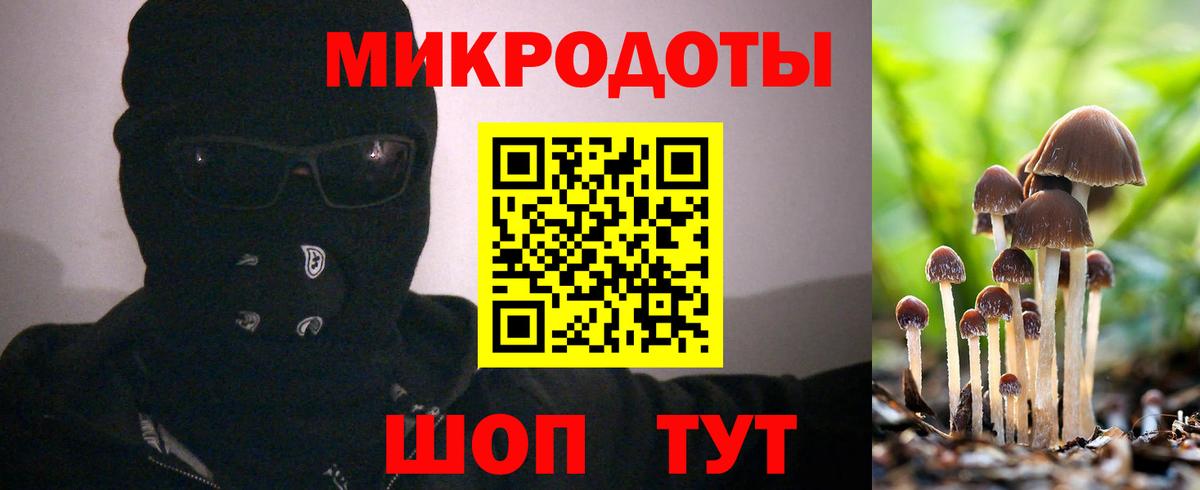 Галлюциногенные грибы мухоморы Иваново
